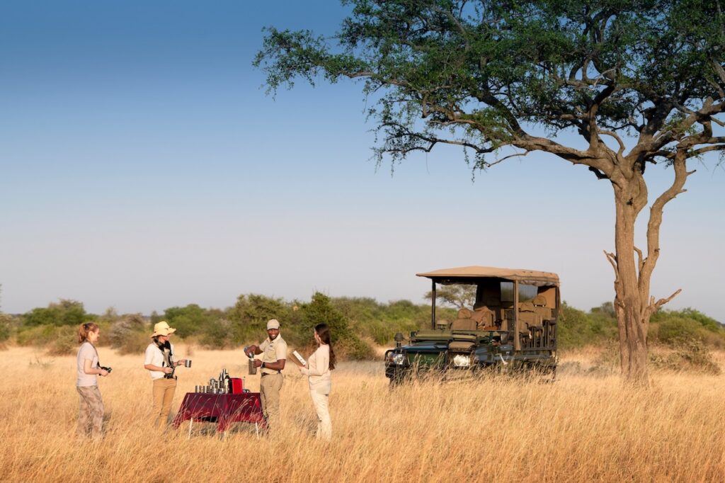 What to Pack for a Luxury Safari: The Definitive Guide