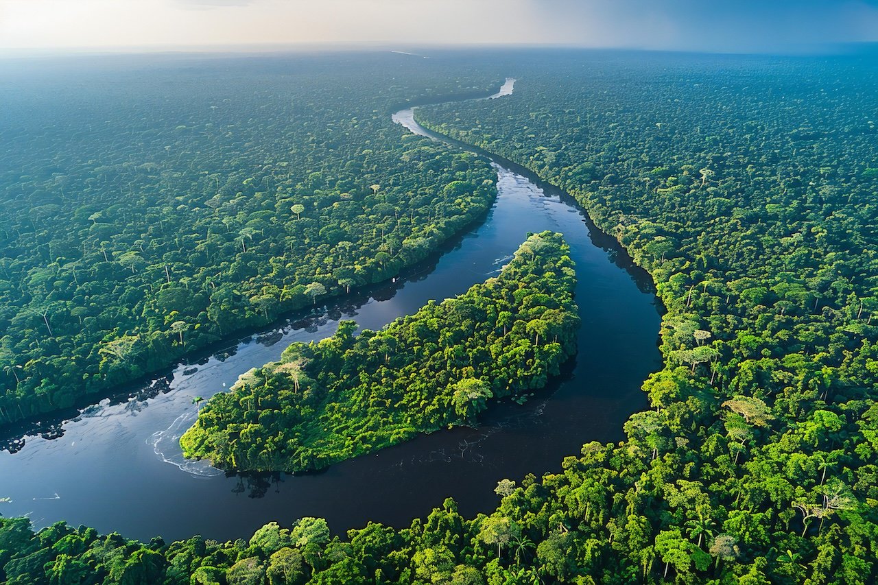 Amazon River Cruise Photography: The Complete Guide to Capturing the Jungle