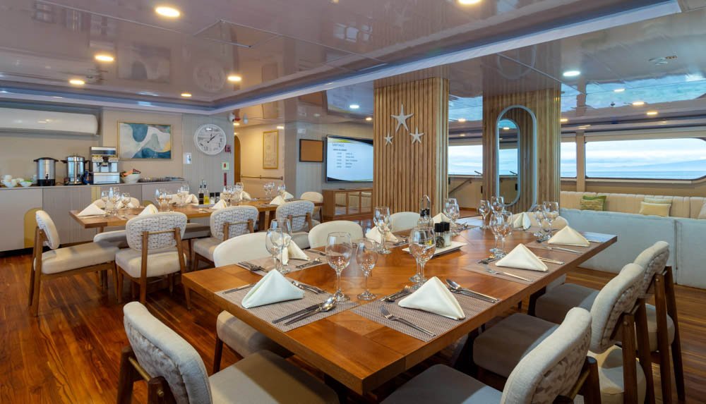 These Are the Best Luxury Cruise Lines in the Galápagos