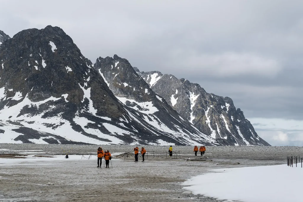 Best Luxury Cruise Lines in Svalbard for 2027