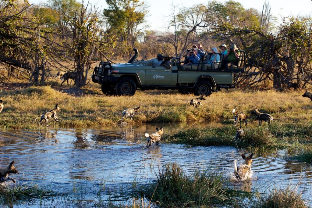 The World's Most Extraordinary Safari: The Best Luxury Lodges and Camps in the Okavango Delta