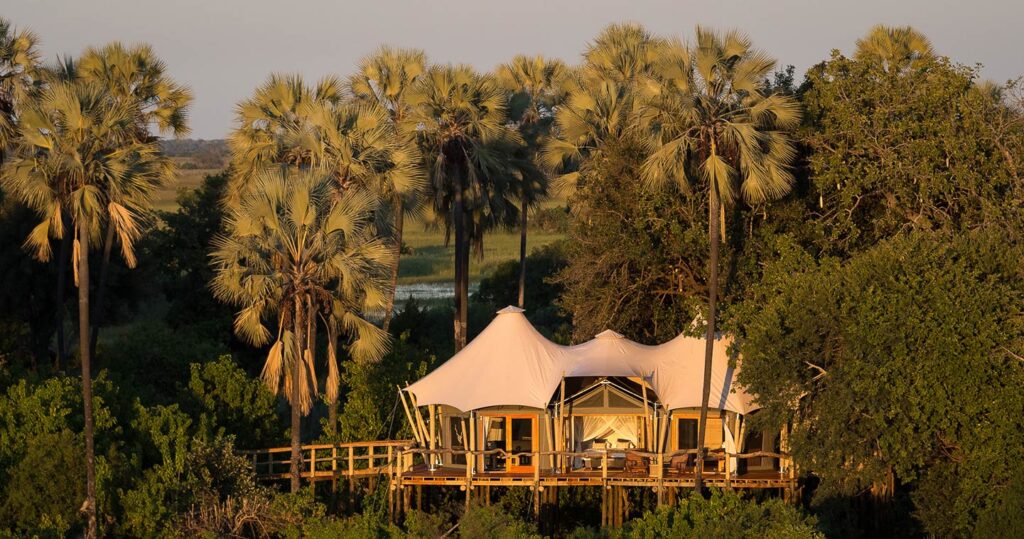 The World's Most Extraordinary Safari: The Best Luxury Lodges and Camps in the Okavango Delta