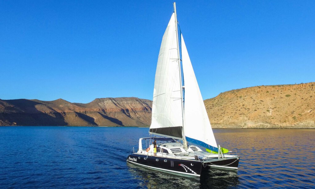 Best Luxury Cruise Lines on the Sea of Cortez for 2026