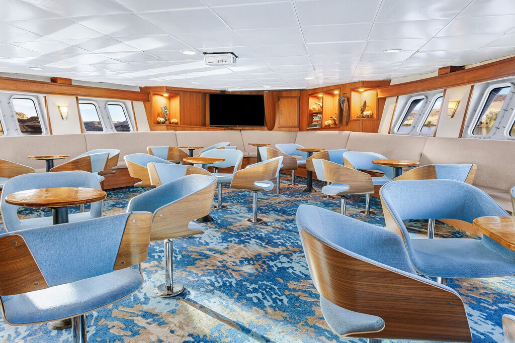 Best Luxury Cruise Lines on the Sea of Cortez for 2026