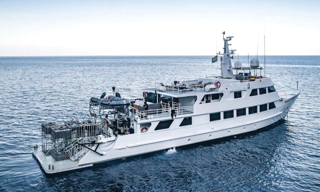 Best Luxury Cruise Lines on the Sea of Cortez for 2026