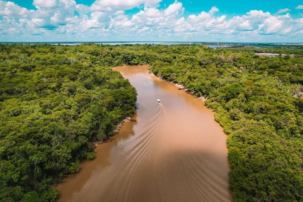 Amazon River Cruise Photography: The Complete Guide to Capturing the Jungle