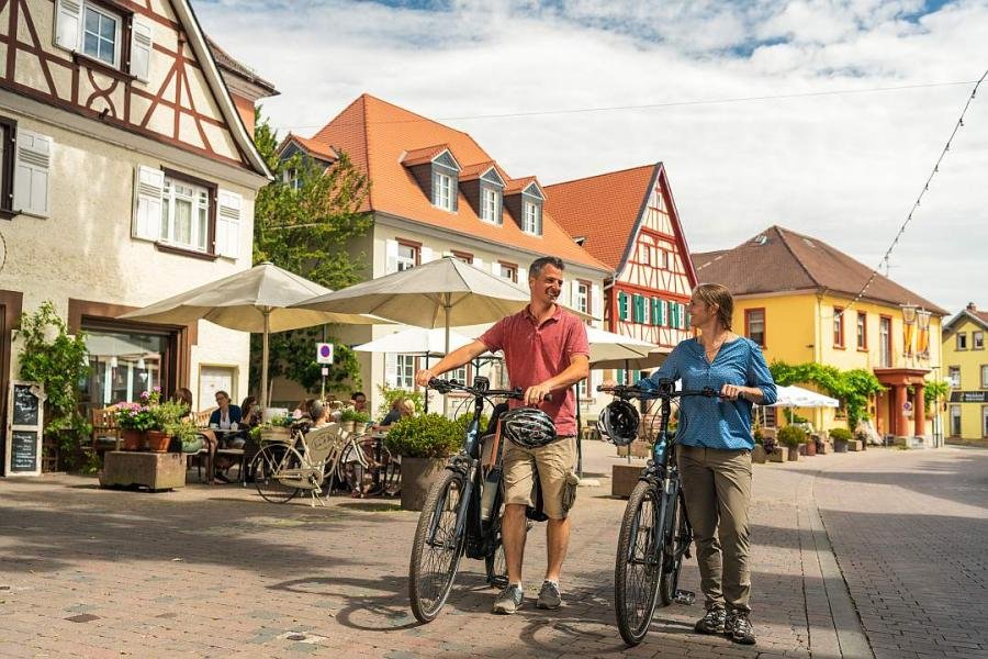 cycle ride through the Rüdesheim vineyards