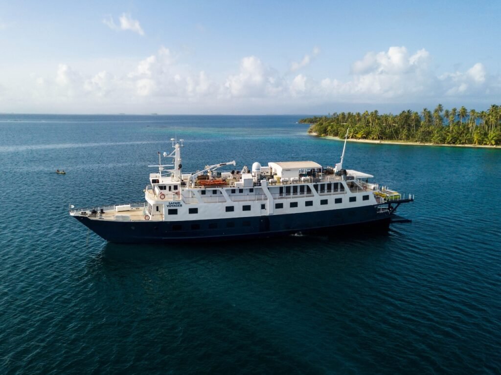 Best Luxury Cruise Lines on the Sea of Cortez for 2026