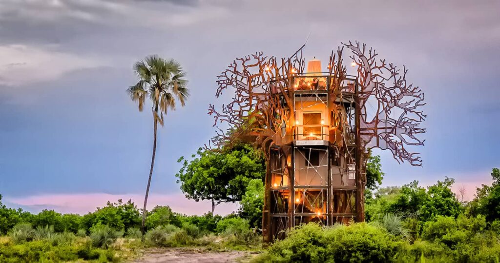 The World's Most Extraordinary Safari: The Best Luxury Lodges and Camps in the Okavango Delta