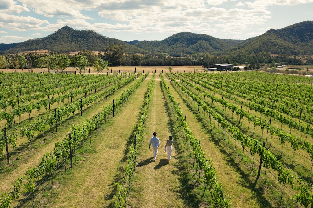 Day trips from Sydney are a great way to trade the harbour skyline for ancient rainforest, world-class wine and windswept coastline. Here is our guide to the best Sydney day trips, what to expect and how long to spend in each.