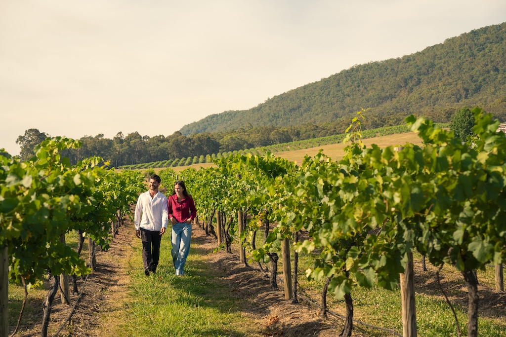 Day trips from Sydney are a great way to trade the harbour skyline for ancient rainforest, world-class wine and windswept coastline. Here is our guide to the best Sydney day trips, what to expect and how long to spend in each.