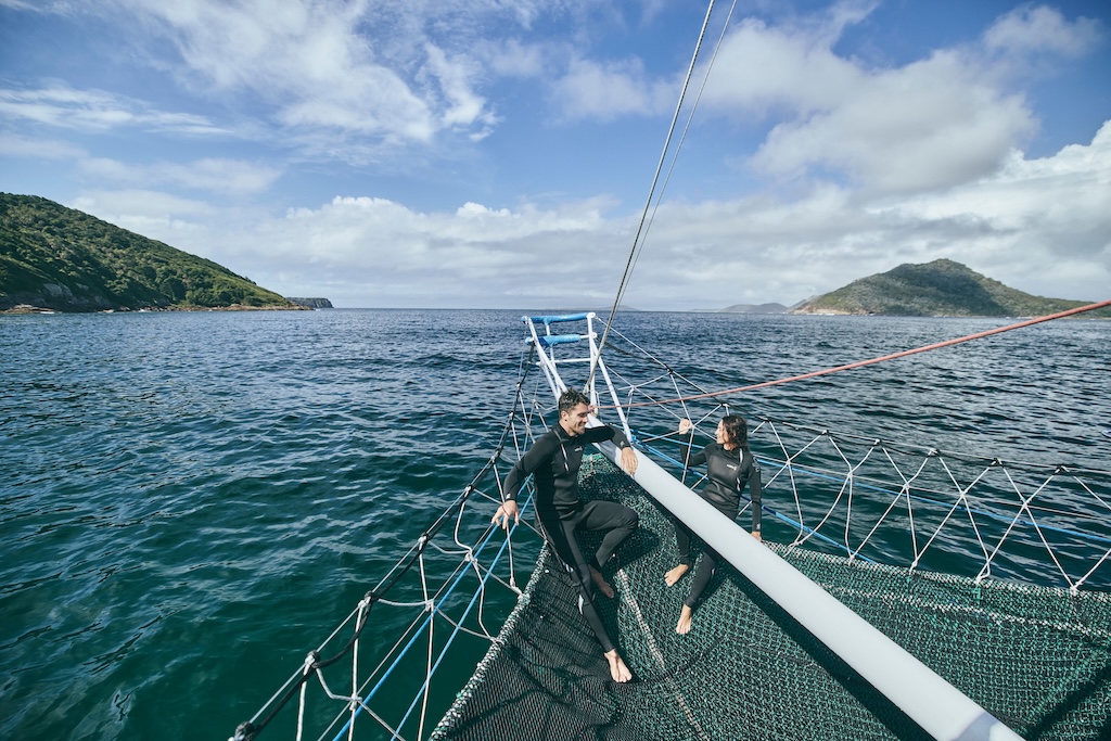 Day trips from Sydney are a great way to trade the harbour skyline for ancient rainforest, world-class wine and windswept coastline. Here is our guide to the best Sydney day trips, what to expect and how long to spend in each.