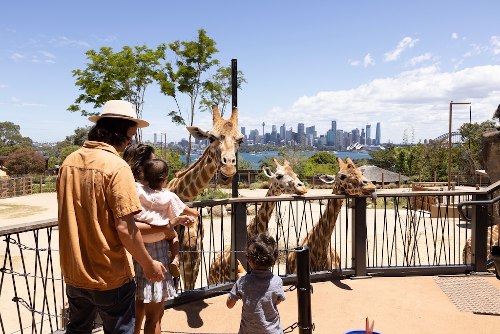 From harbourside Mosman to beachfront Coogee, these are the most elegant and vitalistic neighbourhoods in Sydney, and where to stay in each.