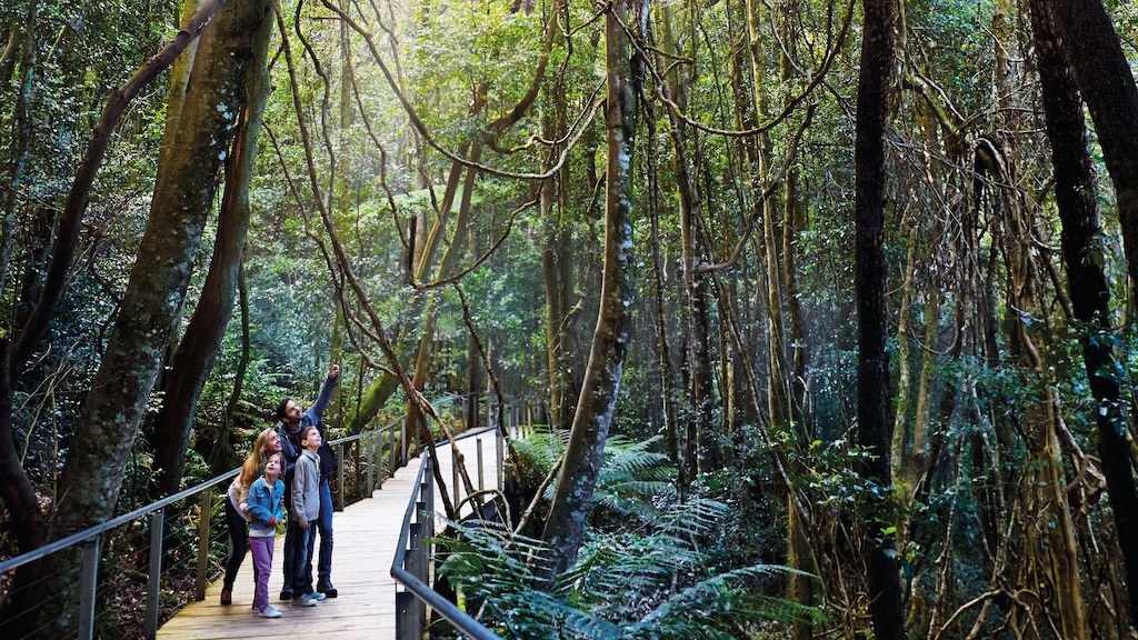 Day trips from Sydney are a great way to trade the harbour skyline for ancient rainforest, world-class wine and windswept coastline. Here is our guide to the best Sydney day trips, what to expect and how long to spend in each.