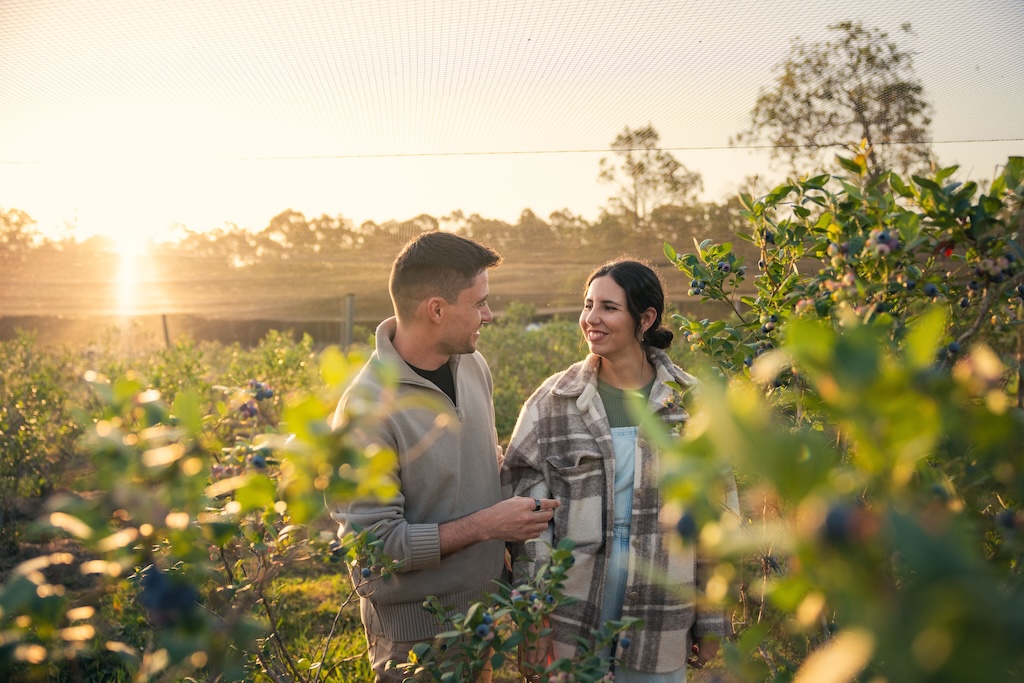 Day trips from Sydney are a great way to trade the harbour skyline for ancient rainforest, world-class wine and windswept coastline. Here is our guide to the best Sydney day trips, what to expect and how long to spend in each.