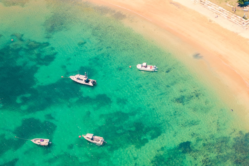Day trips from Sydney are a great way to trade the harbour skyline for ancient rainforest, world-class wine and windswept coastline. Here is our guide to the best Sydney day trips, what to expect and how long to spend in each.