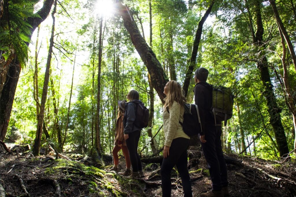 Australia is a continent, not a country in the conventional sense, and one of colour, culture, history and staggering natural diversity. Explore the nation's ever-changing landscapes with this guide to Australia's best travel regions.