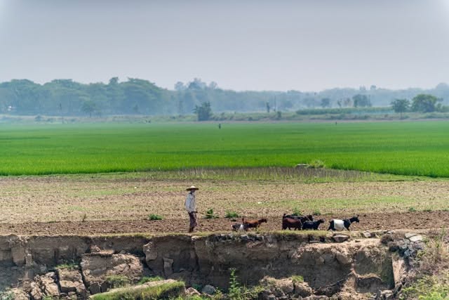 To explore the Ganges as it winds through West Bengal aboard Antara Cruises' Ganges Voyager is to drift into the spiritual heart of India itself.
