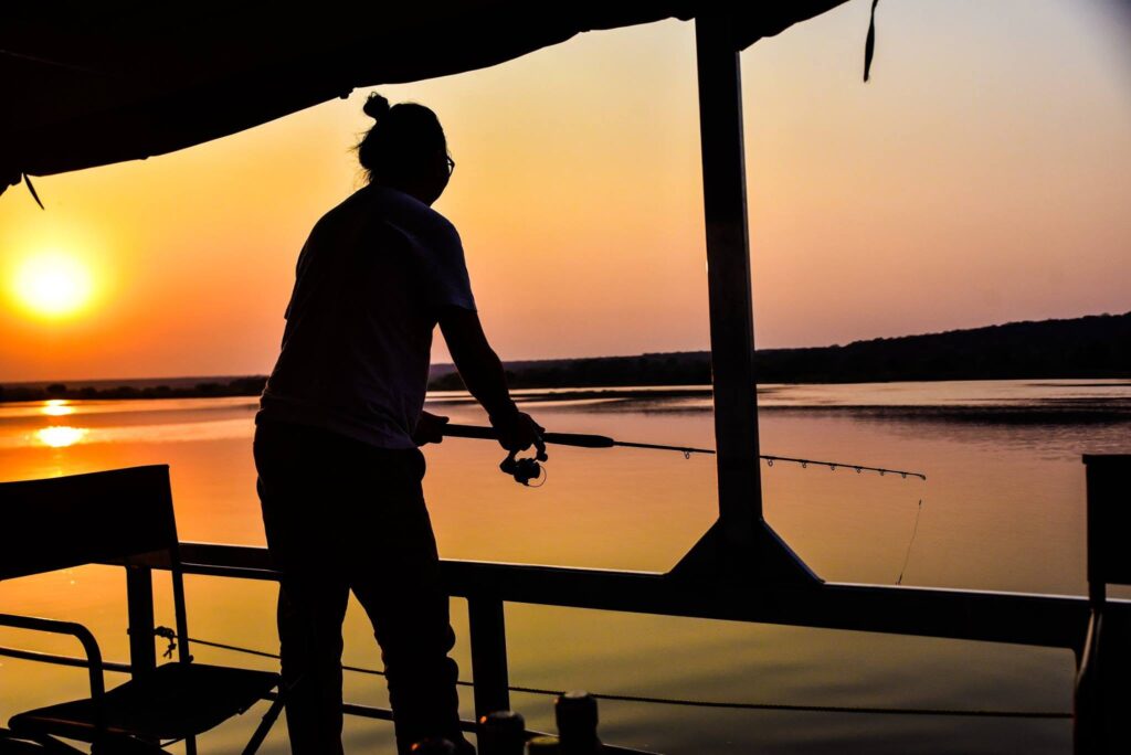 From the Zambezi Queen's floating boutique luxury to Lake Kariba's tiger-fishing houseboats, cruising the Chobe and Zambezi rivers offers Africa's wildlife at unforgettably close range.