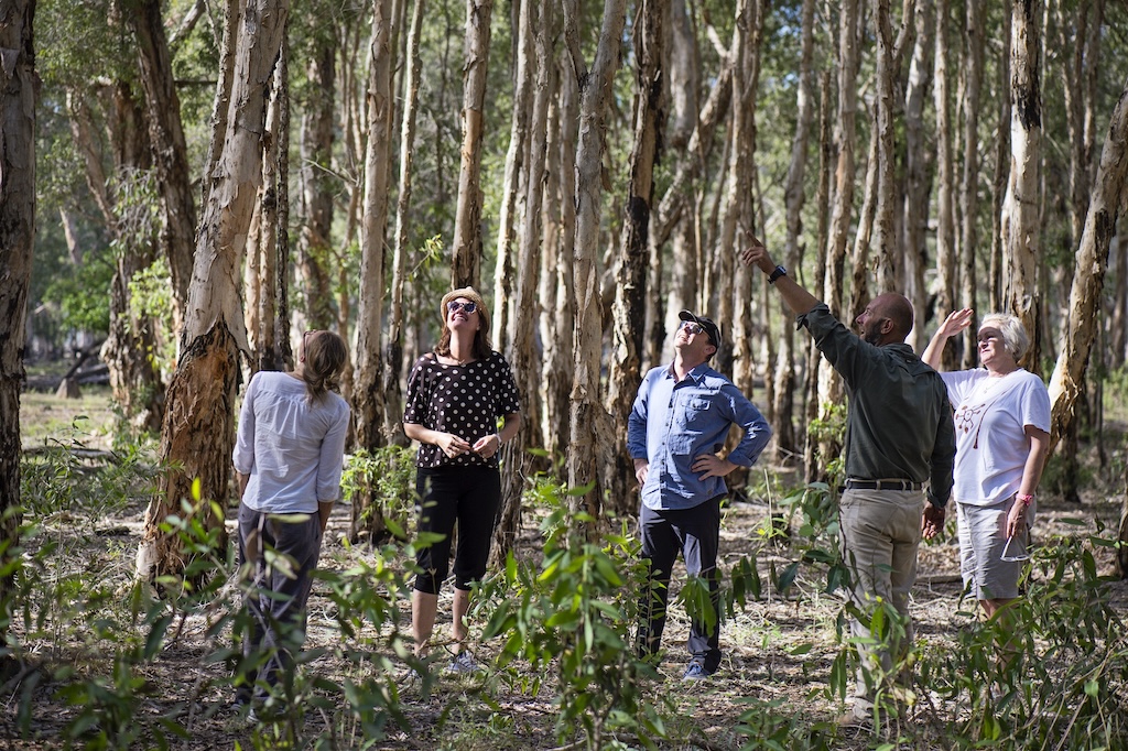 From a clifftop eyrie above the Southern Ocean to a tented camp on the edge of the Red Centre, Australia's finest luxury lodges offer something the world's grandest city hotels never can: the feeling of being genuinely, irreplaceably somewhere.