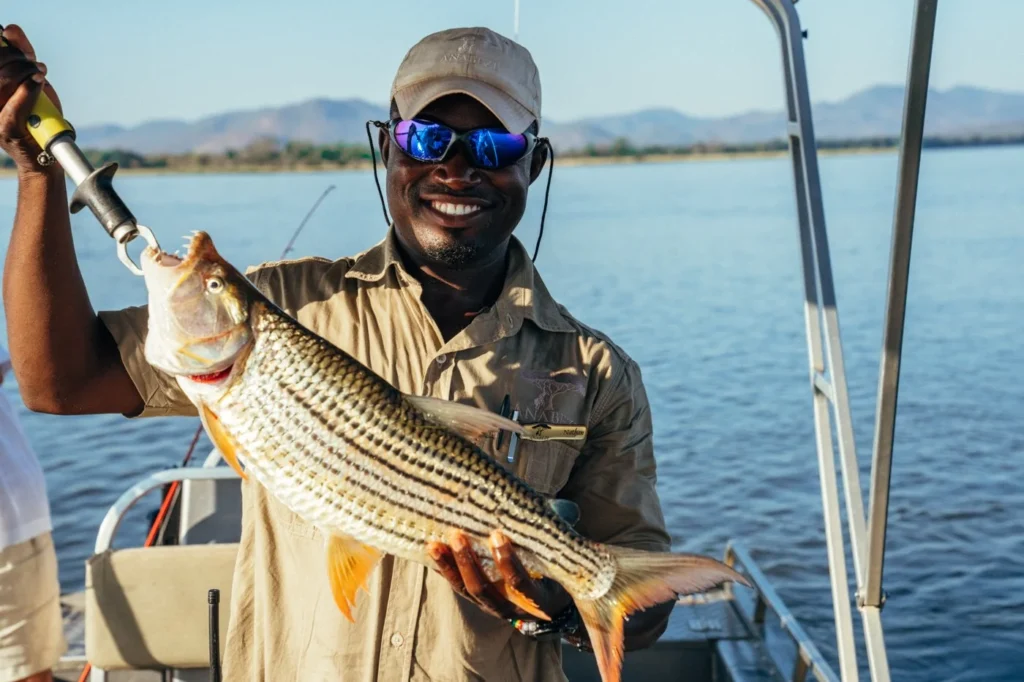 From the Zambezi Queen's floating boutique luxury to Lake Kariba's tiger-fishing houseboats, cruising the Chobe and Zambezi rivers offers Africa's wildlife at unforgettably close range.