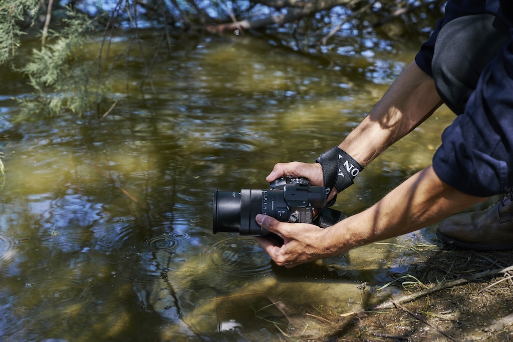 Sony Unveils RX10 V, a 25x Zoom All-in-One Camera Built for Travel and Wildlife