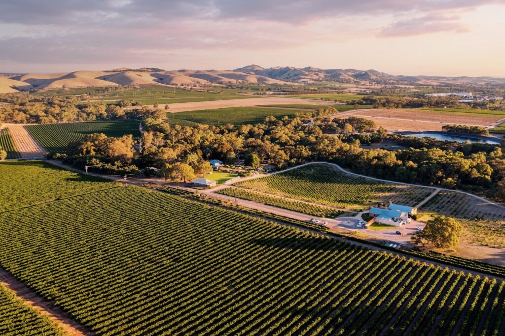 Australia is a continent, not a country in the conventional sense, and one of colour, culture, history and staggering natural diversity. Explore the nation's ever-changing landscapes with this guide to Australia's best travel regions.