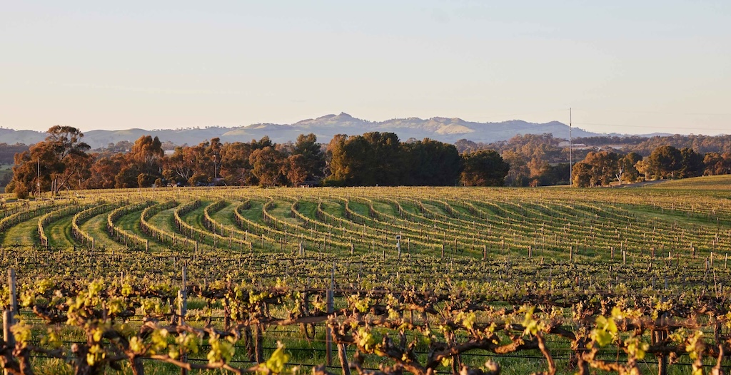 From a clifftop eyrie above the Southern Ocean to a tented camp on the edge of the Red Centre, Australia's finest luxury lodges offer something the world's grandest city hotels never can: the feeling of being genuinely, irreplaceably somewhere.