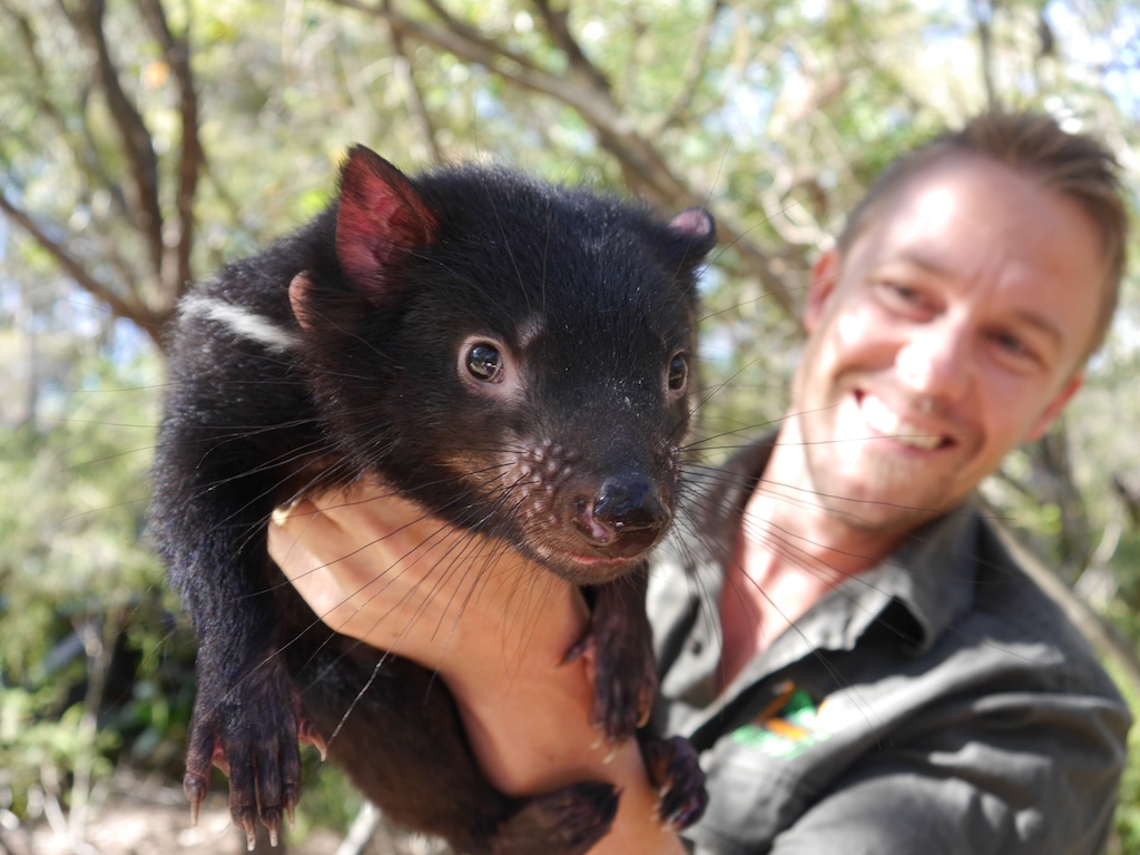 Australia is a continent, not a country in the conventional sense, and one of colour, culture, history and staggering natural diversity. Explore the nation's ever-changing landscapes with this guide to Australia's best travel regions.