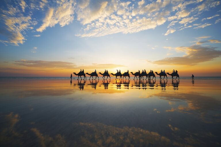 Australia is a continent, not a country in the conventional sense, and one of colour, culture, history and staggering natural diversity. Explore the nation's ever-changing landscapes with this guide to Australia's best travel regions.