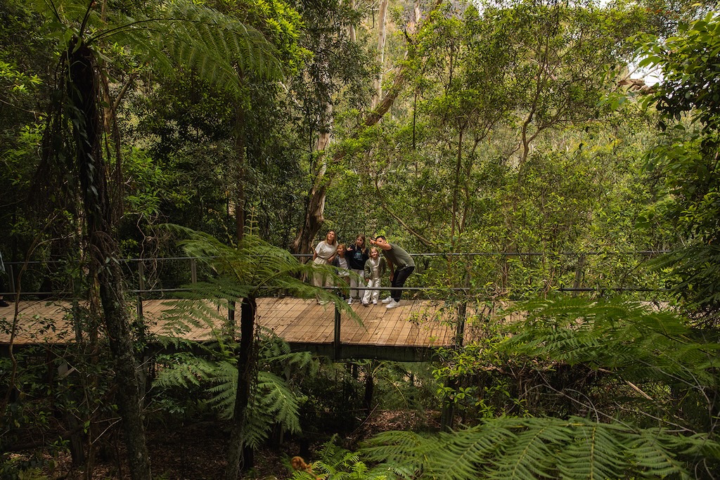 Australia is a continent, not a country in the conventional sense, and one of colour, culture, history and staggering natural diversity. Explore the nation's ever-changing landscapes with this guide to Australia's best travel regions.