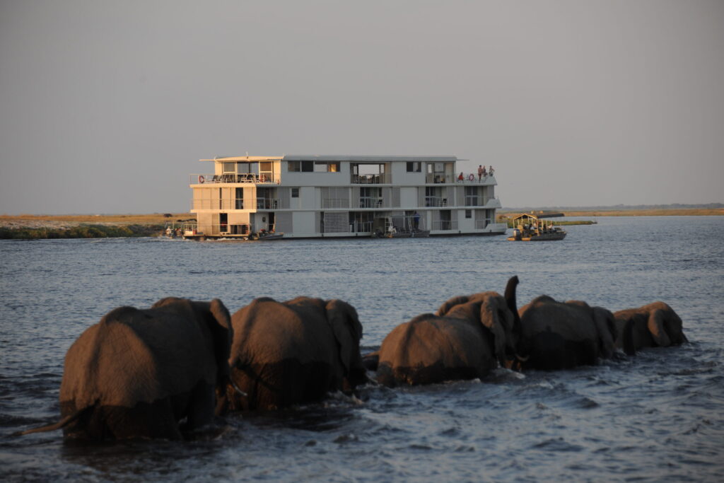 Home to Africa's largest elephant population, Chobe National Park pairs dramatic riverside wildlife encounters with some of Botswana's most understated, yet exceptional, luxury safari camps.