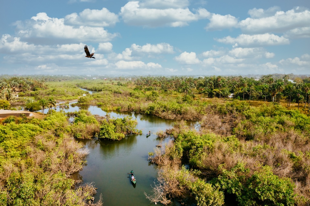 From the Zambezi Queen's floating boutique luxury to Lake Kariba's tiger-fishing houseboats, cruising the Chobe and Zambezi rivers offers Africa's wildlife at unforgettably close range.