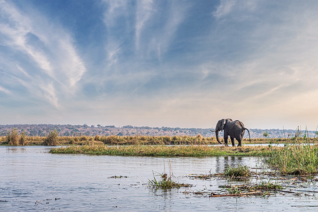 Home to Africa's largest elephant population, Chobe National Park pairs dramatic riverside wildlife encounters with some of Botswana's most understated, yet exceptional, luxury safari camps.