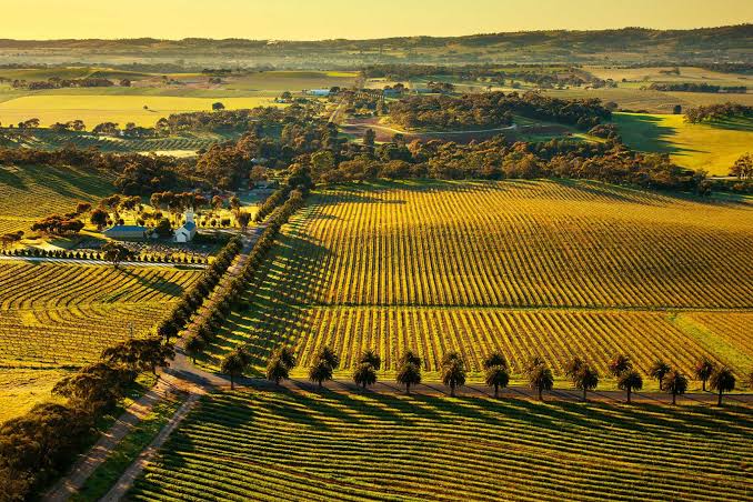 Australia is a continent, not a country in the conventional sense, and one of colour, culture, history and staggering natural diversity. Explore the nation's ever-changing landscapes with this guide to Australia's best travel regions.