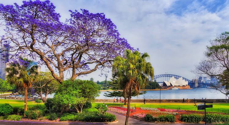 Best Luxury Hotels in Sydney for 2026 — Harbour Views and Five-Star Experiences