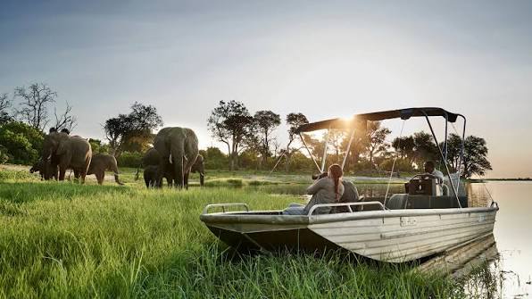 Home to Africa's largest elephant population, Chobe National Park pairs dramatic riverside wildlife encounters with some of Botswana's most understated, yet exceptional, luxury safari camps.