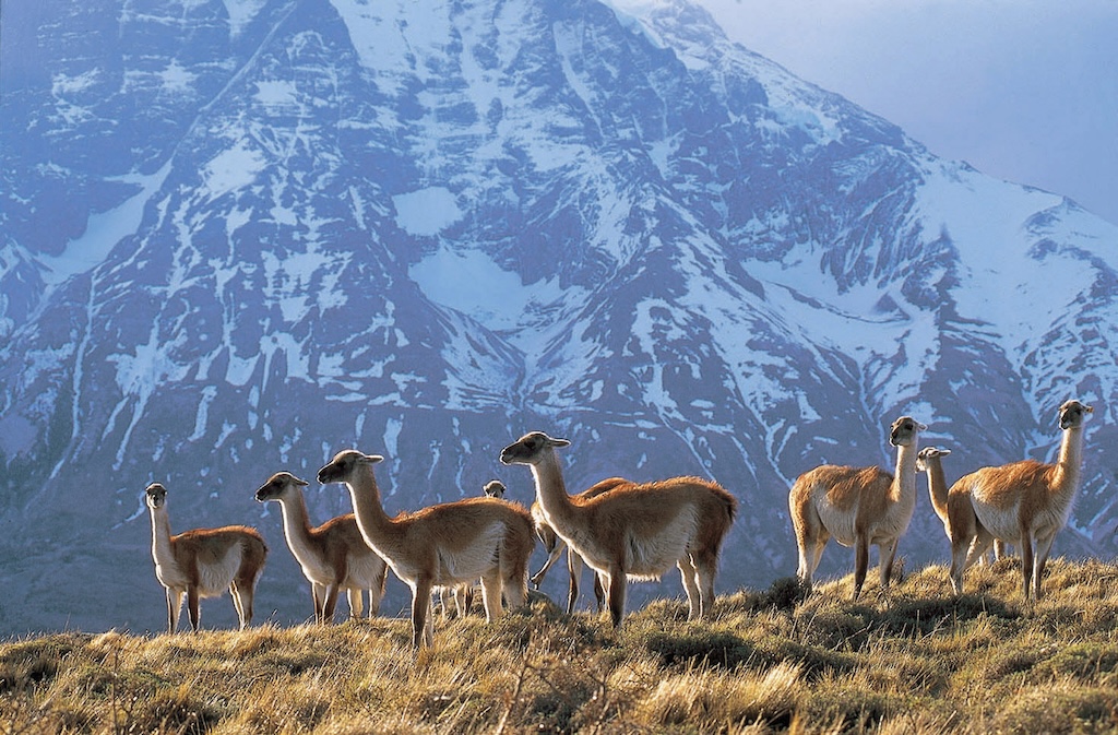 Patagonia's granite towers, glaciers and windswept steppe have inspired a remarkable generation of retreats. Here are five of the finest, in Chile and Argentina.