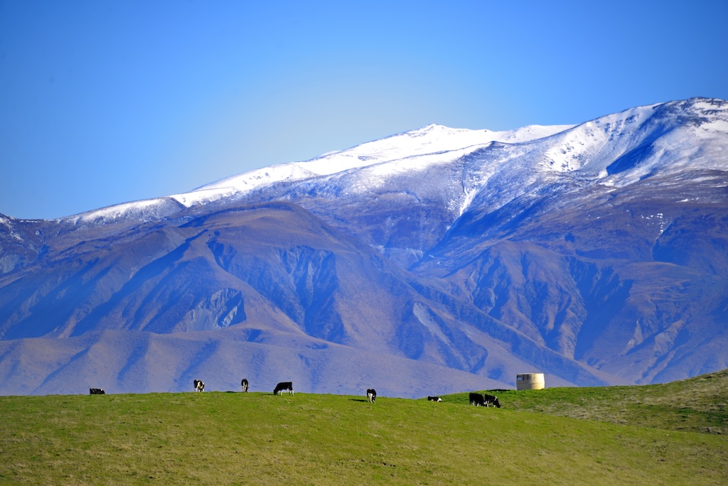 New Zealand's KiwiRail-operated Great Journeys network turns three iconic rail routes into some of the world's most scenic train journeys anywhere.