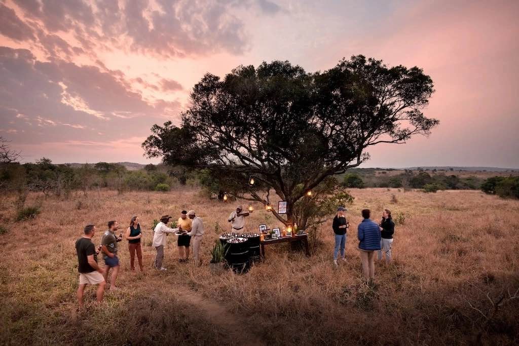 After a complete reimagining, &Beyond's six-suite Phinda Vlei Lodge has reopened in South Africa's Phinda Private Game Reserve, pairing wetland-front private pools with new sand forest e-biking and in-suite wellness treatments.