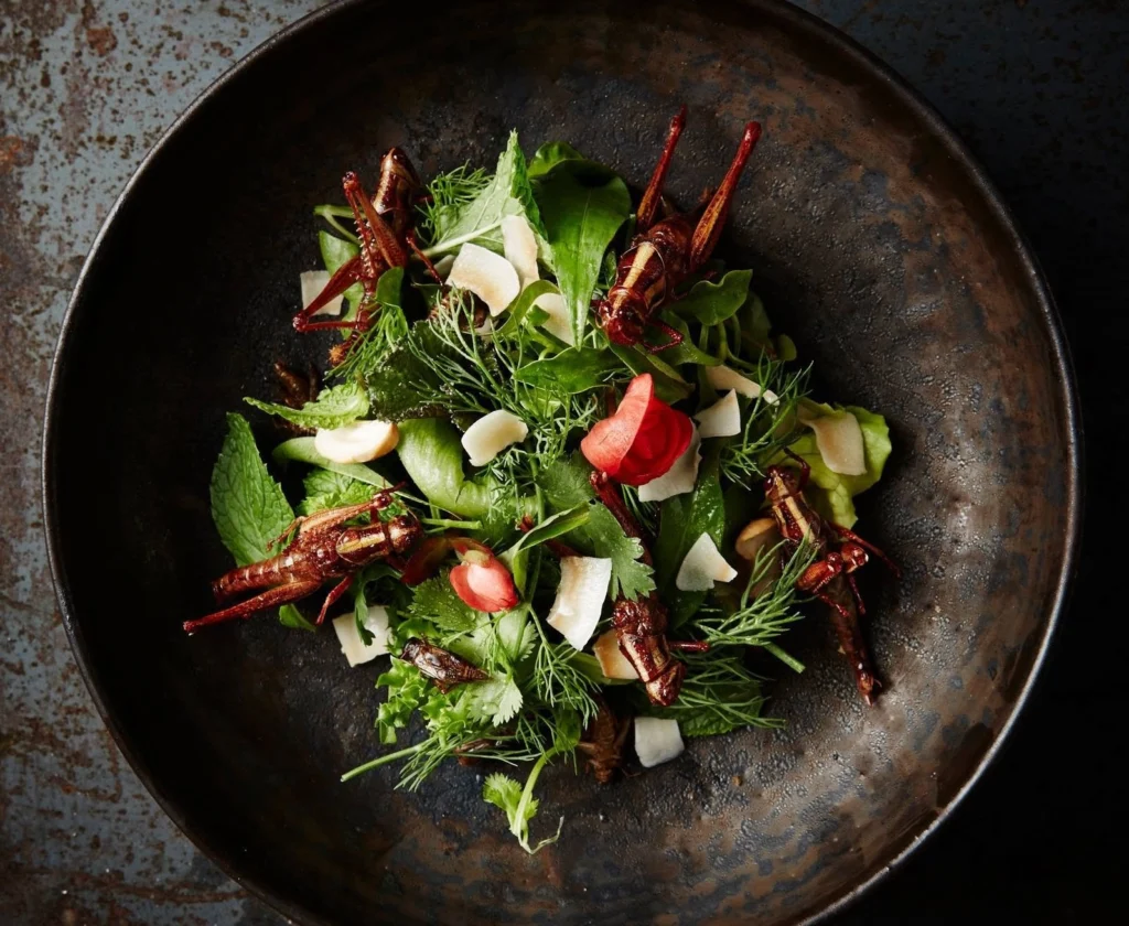 After a Michelin-starred Seoul restaurant was fined for illegal ants, here are five fine-dining kitchens across the world serving insects legally, deliberately and deliciously done.