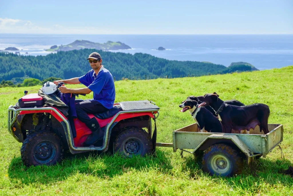 Nick Walton encounters five very different takes on the New Zealand lodge during a luxury road trip across the North Island, from Rotorua to Northland.
