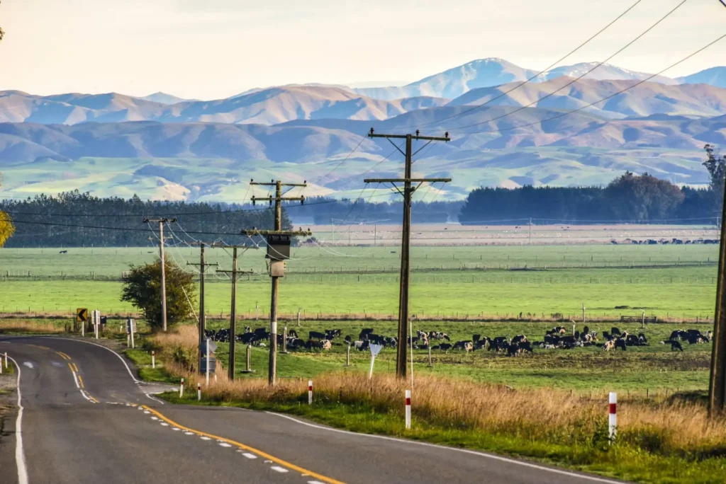 A road trip through five of New Zealand's finest South Island luxury lodges reveals a slower, far richer way to taste, sleep and explore Aotearoa.