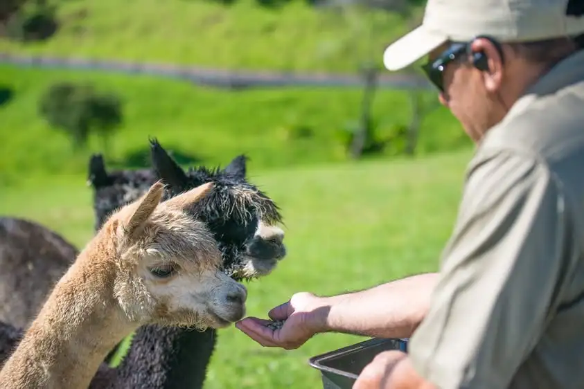 Nick Walton encounters five very different takes on the New Zealand lodge during a luxury road trip across the North Island, from Rotorua to Northland.