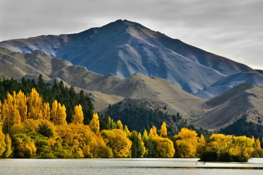 A road trip through five of New Zealand's finest South Island luxury lodges reveals a slower, far richer way to taste, sleep and explore Aotearoa.
