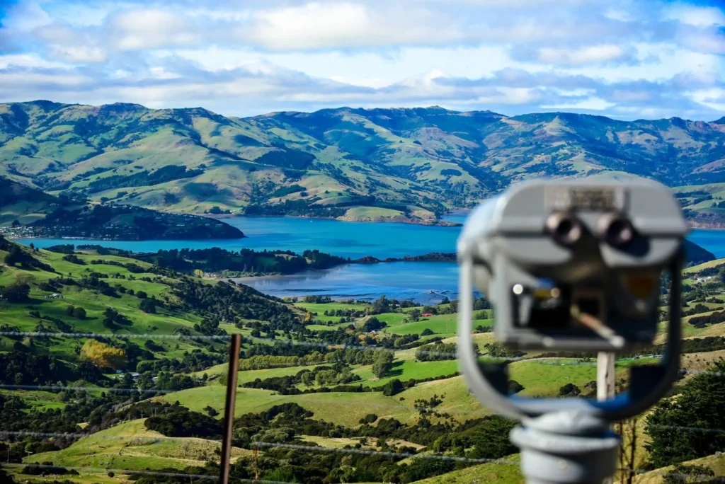 A road trip through five of New Zealand's finest South Island luxury lodges reveals a slower, far richer way to taste, sleep and explore Aotearoa.