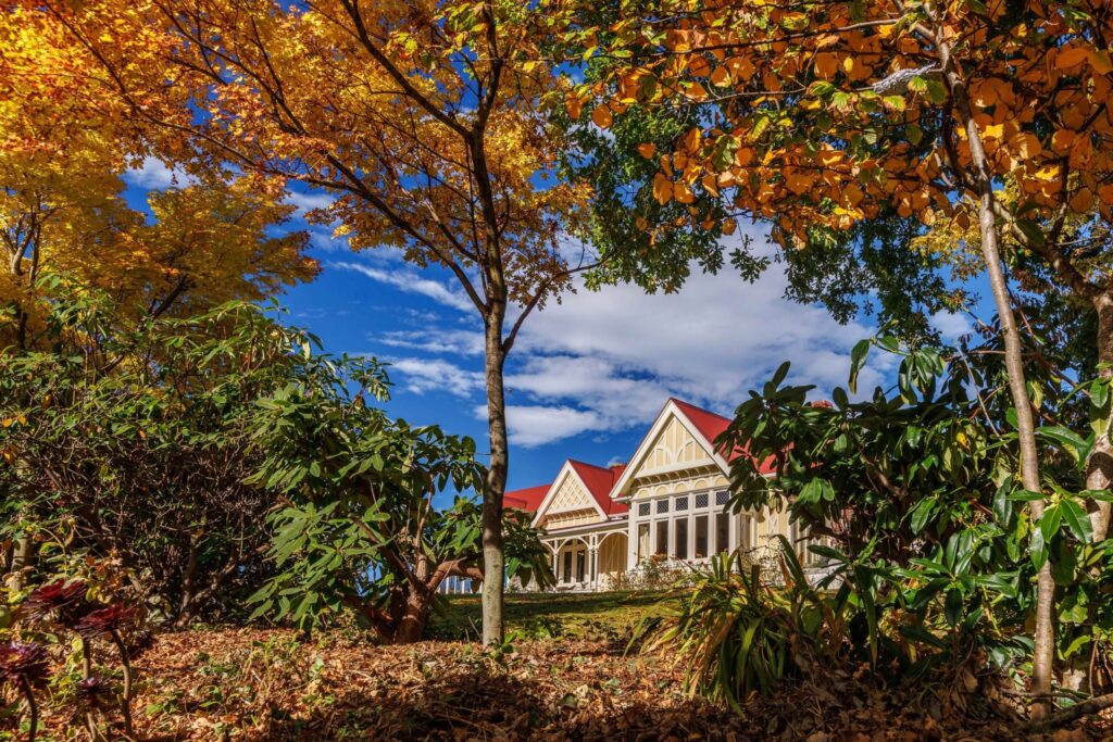 A road trip through five of New Zealand's finest South Island luxury lodges reveals a slower, far richer way to taste, sleep and explore Aotearoa.
