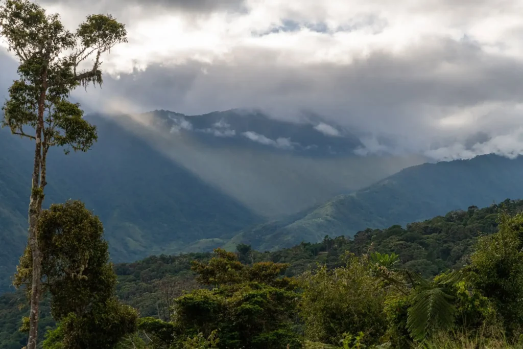 Planning your own voyage through eastern Indonesia? Here are answers to the questions travellers most often search for before booking a Komodo, Raja Ampat or Papua expedition cruise.