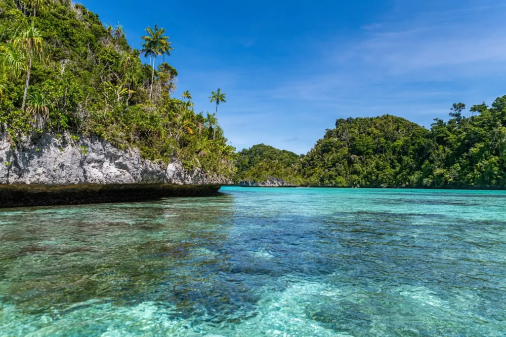 Planning your own voyage through eastern Indonesia? Here are answers to the questions travellers most often search for before booking a Komodo, Raja Ampat or Papua expedition cruise.