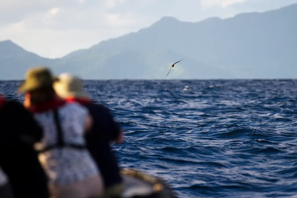 Next March, Heritage Expeditions will delve into the South Pacific on a new 11-day journey to Fiji, Samoa and Tonga.